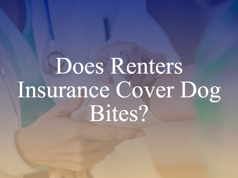 Renters Insurance and Dog Bites