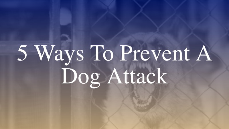 5 Ways to Protect Yourself & Prevent a Dog Attack