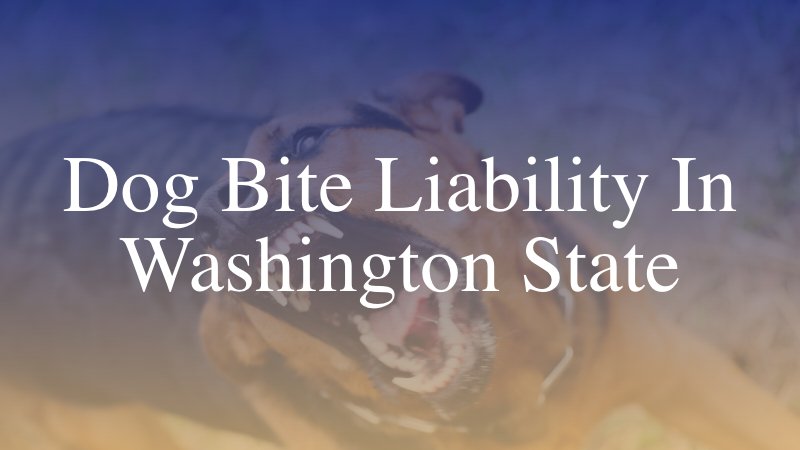 Dog Bite Liability in Washington State