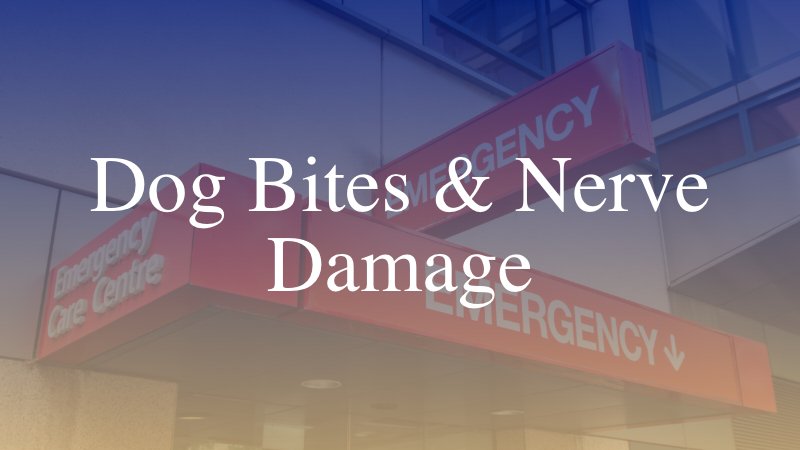 Dog Bites & Nerve Damage