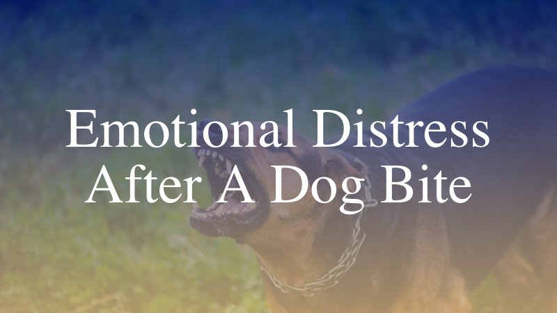 Emotional Distress After a Dog Bite