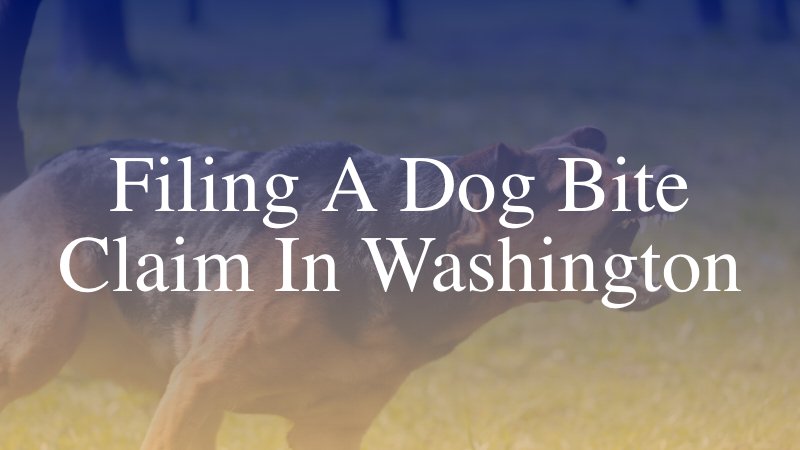 Filing a Dog Bite Claim in Washington
