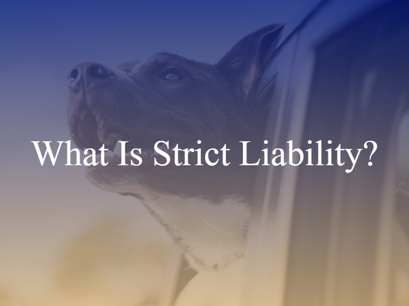 What Is Strict Liability?